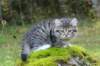 leaimg_199013_small.jpg