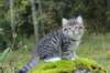 leaimg_199014_small.jpg