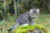 leaimg_19907_small.jpg