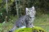 leaimg_19909_small.jpg