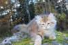 lily11viikkoa19102017img_306710_small.jpg