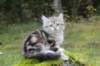 lilyimg_200410_small.jpg