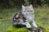 lilyimg_200412_small.jpg