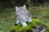 lilyimg_200418_small.jpg