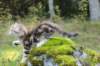 lilyimg_200431_small.jpg