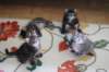 img_3786_small.jpg