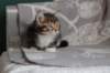 labansibny0322ekanatulee66_small.jpg