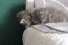 leannatyttsibg2217_small.jpg
