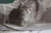 leannatyttsibg2230_small.jpg