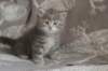 leannatyttsibg2258_small.jpg