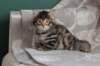 lucassibny24sylivauva39_small.jpg