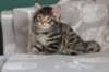 lucassibny24sylivauva3_small.jpg