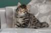 lucassibny24sylivauva59_small.jpg