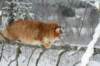 img_1961_small.jpg