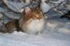 img_2067_small.jpg