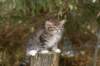 img_5223_small.jpg