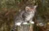 img_5224_small.jpg