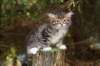 img_5236_small.jpg