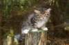 img_5238_small.jpg