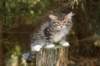 img_5241_small.jpg