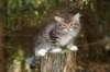 img_5242_small.jpg