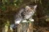 img_5243_small.jpg