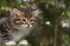 img_5252_small.jpg