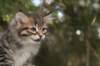 img_5253_small.jpg