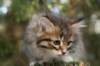 img_5288_small.jpg