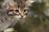 img_5291_small.jpg