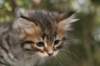 img_5292_small.jpg
