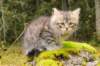 matteus8vi5102017img_246941_small.jpg
