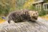matteus8vi5102017img_246943_small.jpg