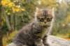 matteus8vi5102017img_246948_small.jpg