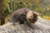 matteus8vi5102017img_246949_small.jpg