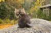 matteus8vi5102017img_246955_small.jpg
