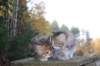 mariaandmatthew6weeksoctober5202112_small.jpg
