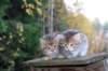 mariaandmatthew6weeksoctober5202116_small.jpg