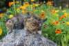 mariaandmatthew6weeksoctober5202154_small.jpg