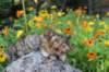 mariaandmatthew6weeksoctober5202155_small.jpg