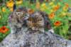 mariaandmatthew6weeksoctober5202156_small.jpg