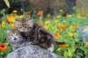 mariaandmatthew6weeksoctober5202162_small.jpg