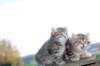 mariaandmatthew6weeksoctober5evening202117_small.jpg