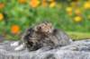 mattiandmaria11days4911_small.jpg
