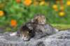 mattiandmaria11days4914_small.jpg