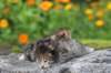 mattiandmaria11days4915_small.jpg