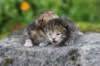 mattiandmaria11days4916_small.jpg