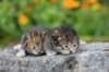 mattiandmaria11days4919_small.jpg