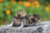 mattiandmaria11days4932_small.jpg