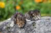 mattiandmaria11days4935_small.jpg